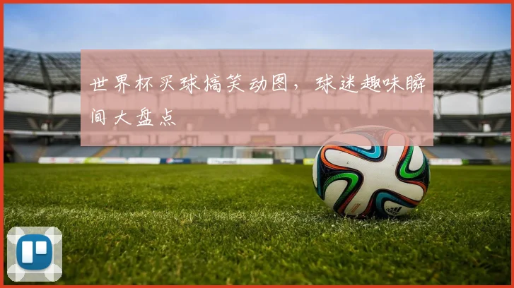 世界杯买球搞笑动图,球迷趣味瞬间大盘点