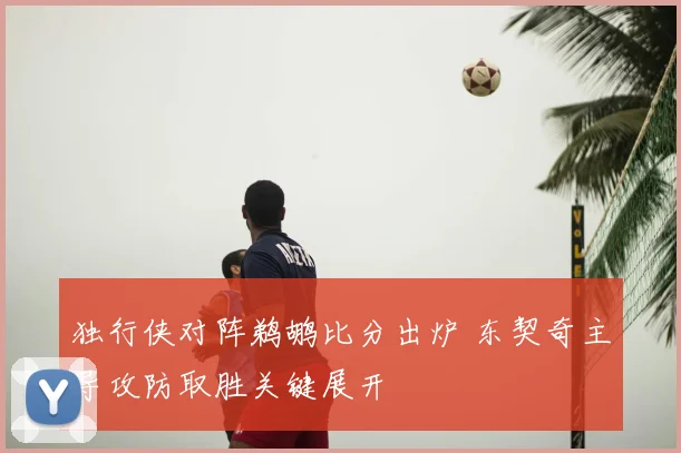 独行侠对阵鹈鹕比分出炉 东契奇主导攻防取胜关键展开