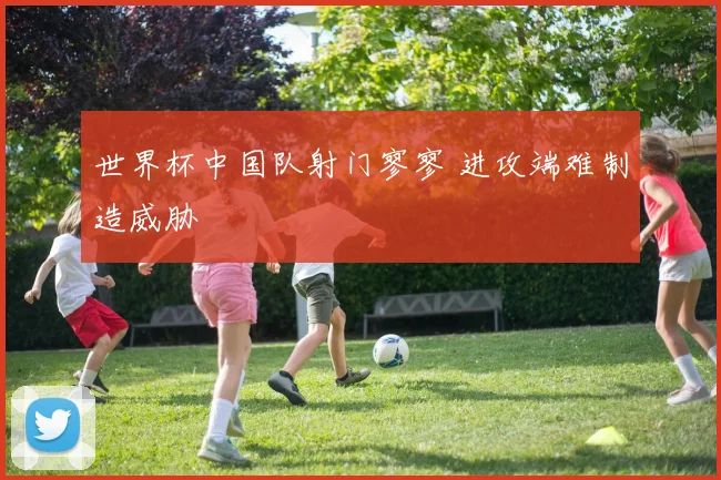世界杯中国队射门寥寥 进攻端难制造威胁