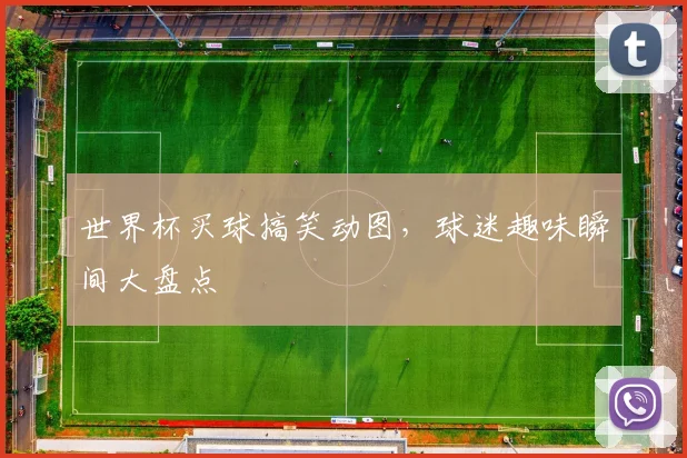 世界杯买球搞笑动图，球迷趣味瞬间大盘点