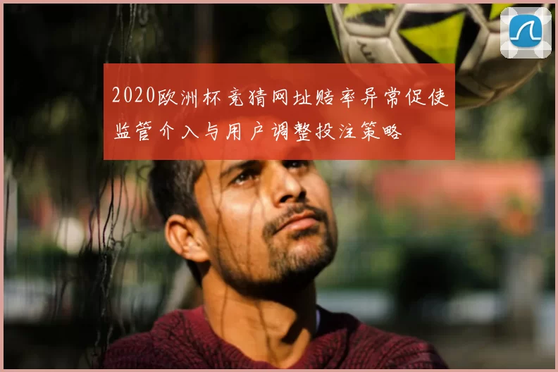 2020欧洲杯竞猜网址赔率异常促使监管介入与用户调整投注策略
