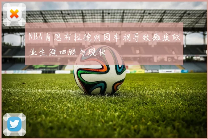 NBA肖恩布拉德利因车祸导致瘫痪职业生涯回顾与现状