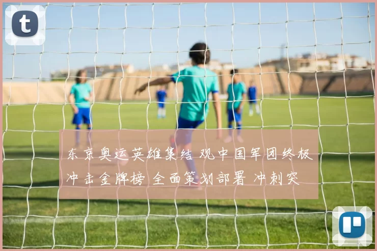 东京奥运英雄集结 观中国军团终极冲击金牌榜 全面策划部署 冲刺突破