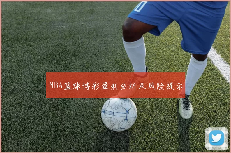 NBA篮球博彩盈利分析及风险提示