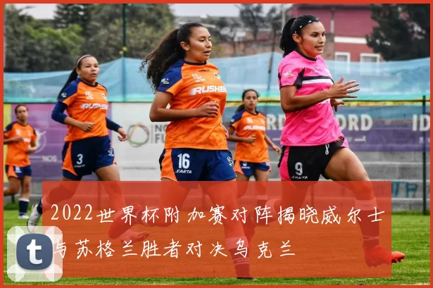 2022世界杯附加赛对阵揭晓威尔士与苏格兰胜者对决乌克兰