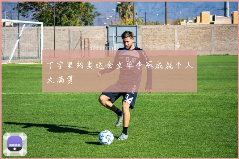 丁宁里约奥运会女单夺冠成就个人大满贯