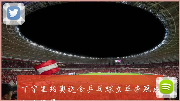 丁宁里约奥运会乒乓球女单夺冠成就大满贯